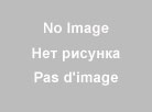 k10173